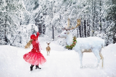 Snow winter girl kid Photo