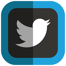 Twitter, bird, logo