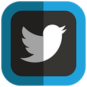 Twitter,bird,logo Icon