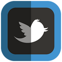 Twitter,bird,logo,social network Icon