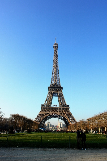 árvore torre eiffel paris frança