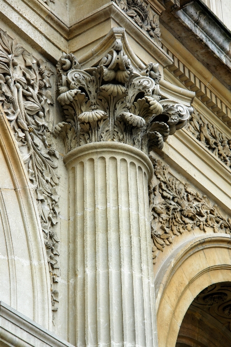 Arbre architecture structure bâtiment