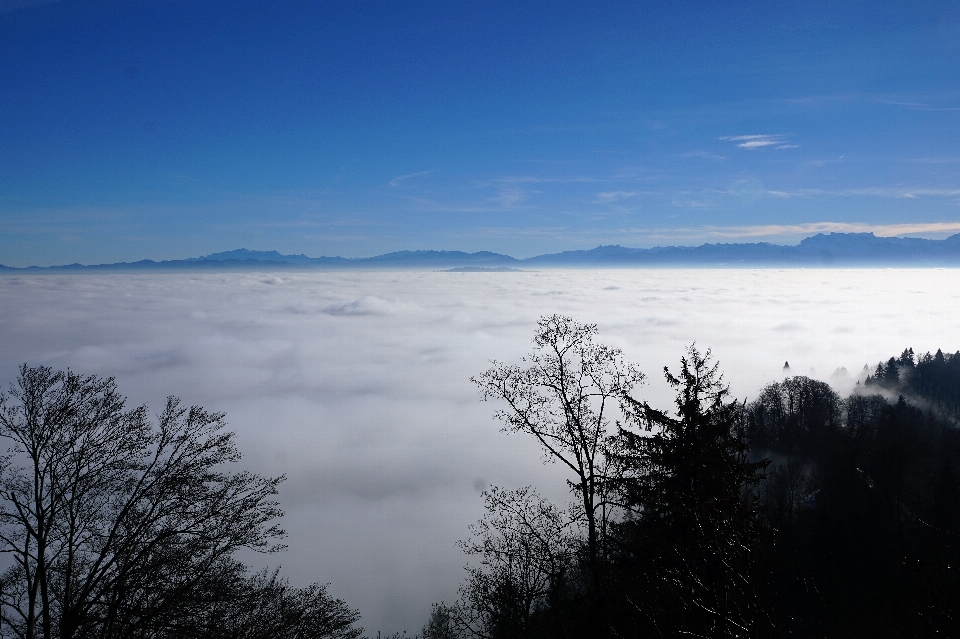 Landscape nature horizon mountain