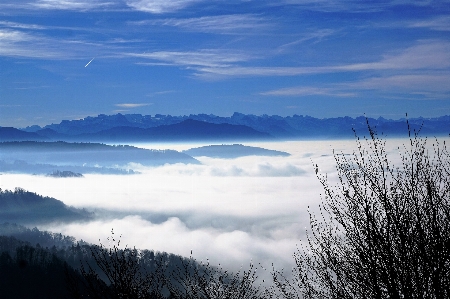 Landscape tree nature horizon Photo