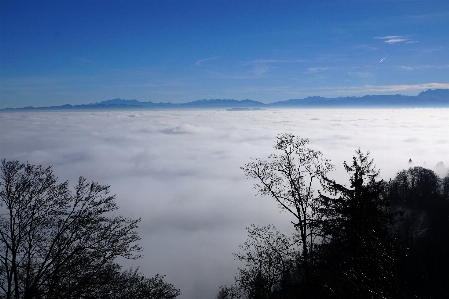 Landscape sea nature horizon Photo