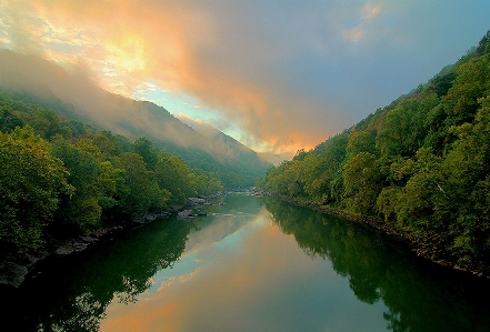 Landscape tree water nature Photo