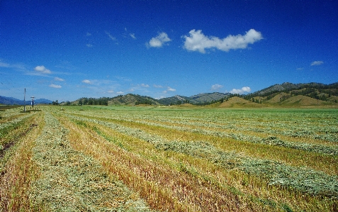 Landscape nature horizon sky Photo