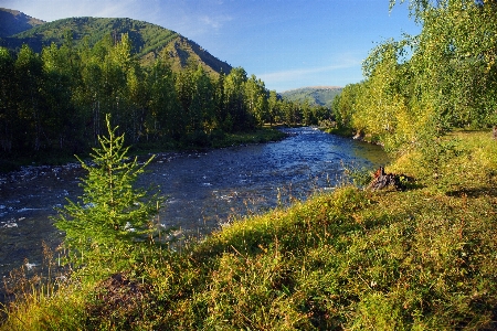 Landscape tree water nature Photo