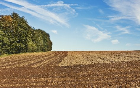 Landschaft horizont wolke anlage Foto