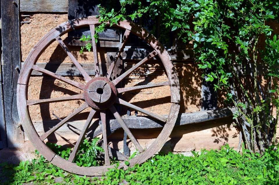 Wood track lawn antique