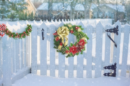 Branch snow winter fence Photo