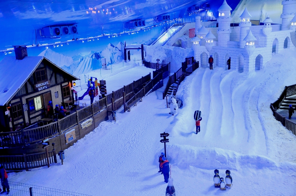 雪 冬天 草地 冰