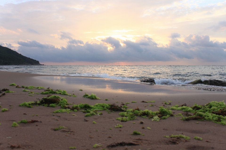 해변 바다 해안 자연