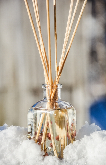 Nature winter flower glass