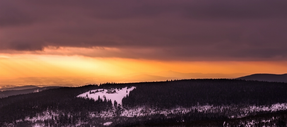 Landscape nature forest horizon