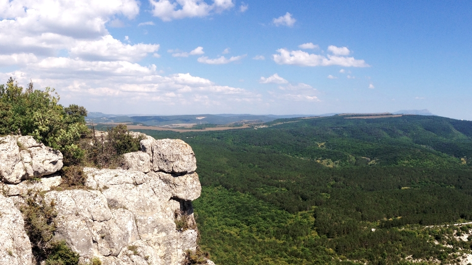 Landschaft natur wald rock