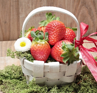 Blossom plant white fruit Photo