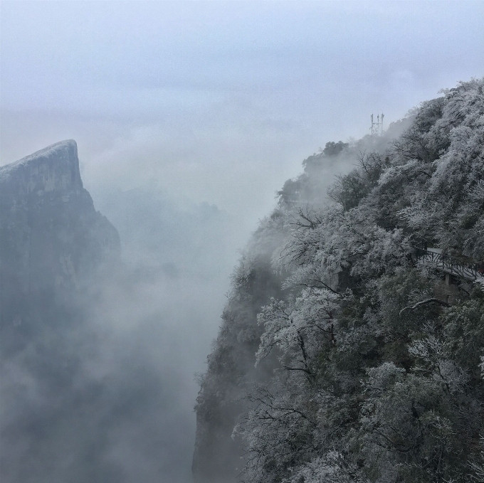 Montagna nevicare inverno nebbia