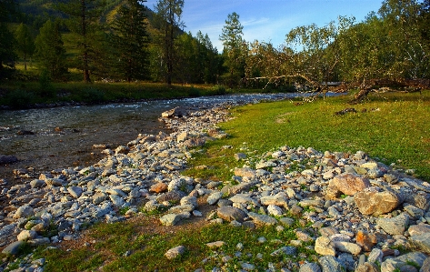 Landscape tree water nature Photo