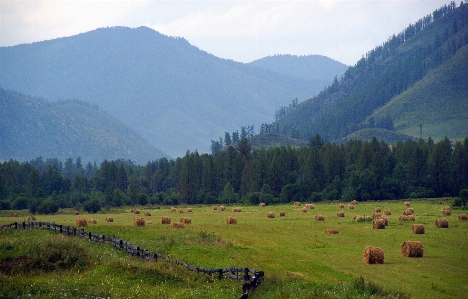 Landscape nature forest wilderness Photo