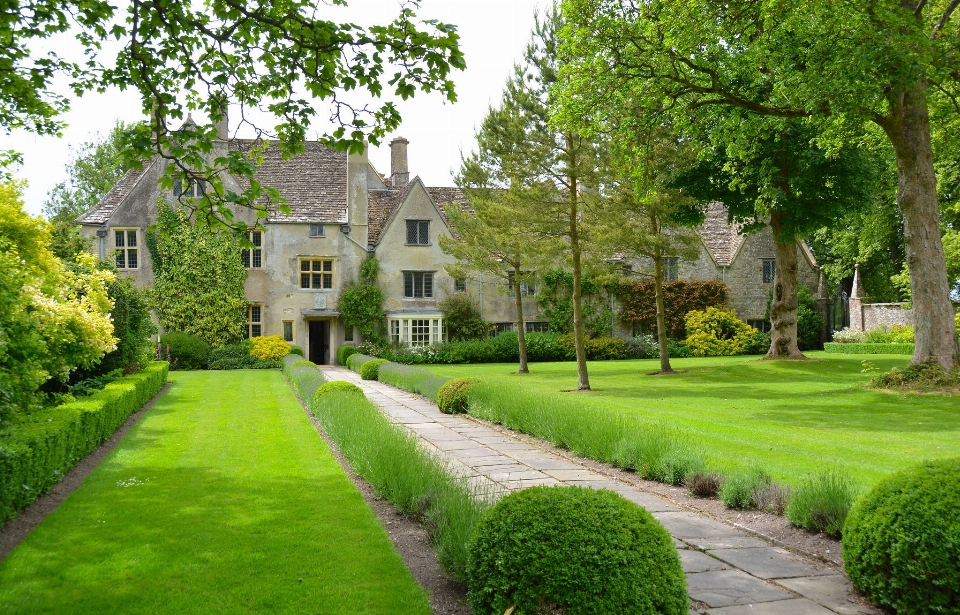 Tree grass lawn mansion