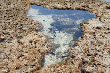 海 水 砂 rock 写真