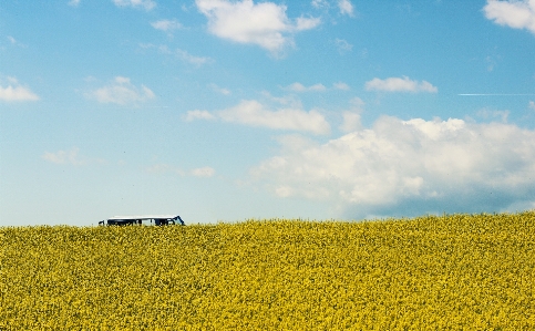 Landscape nature horizon plant Photo