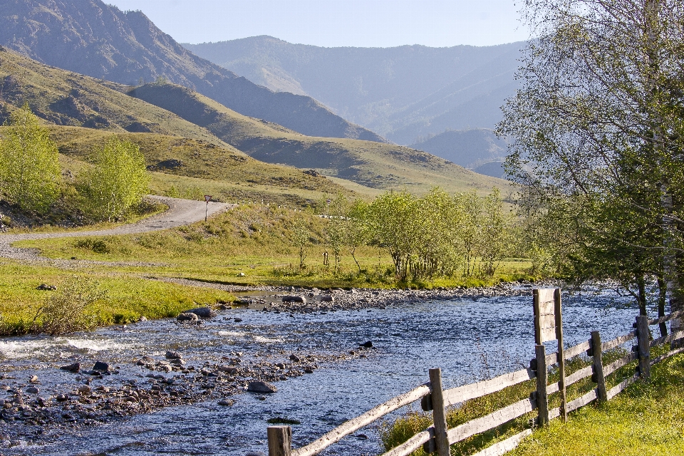 Paesaggio acqua natura selvaggia
