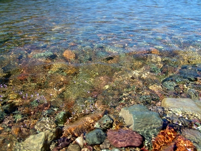 Landscape sea coast nature Photo