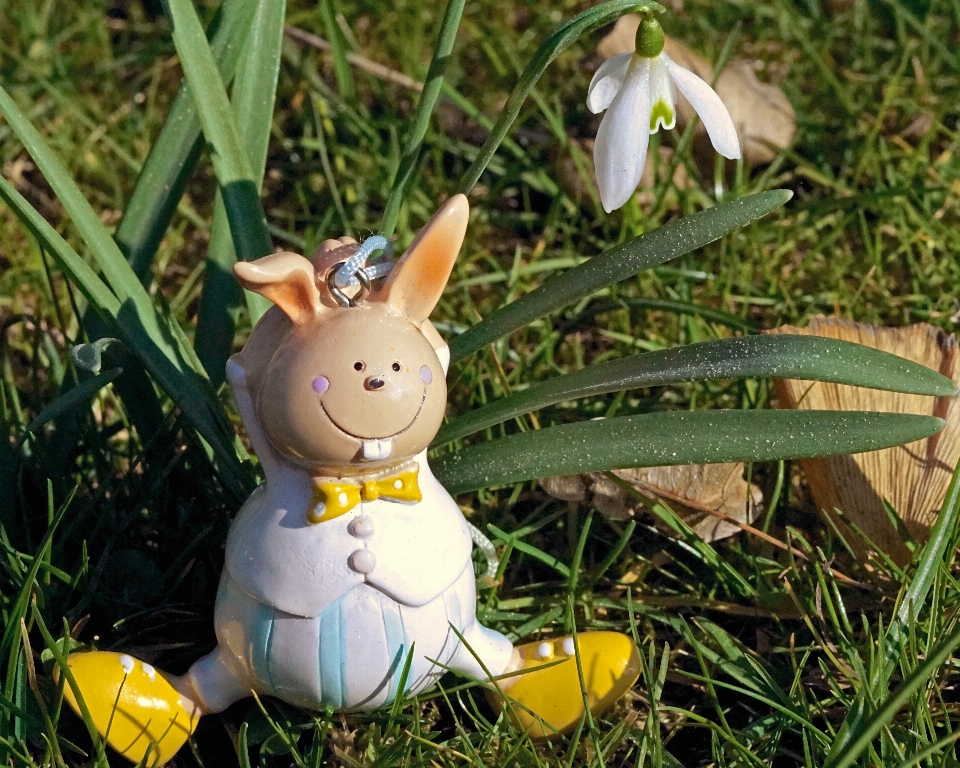 Herbe soleil pelouse prairie
