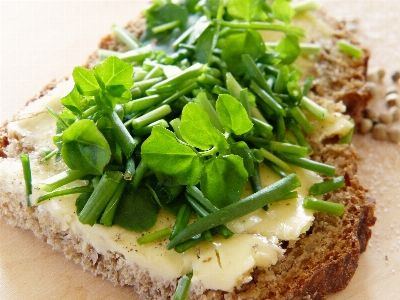 Water allergy dish meal Photo