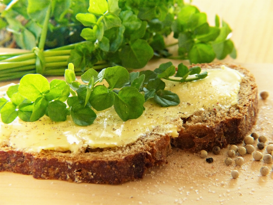 água prato comida primavera