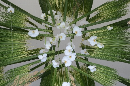 Tree branch blossom plant Photo