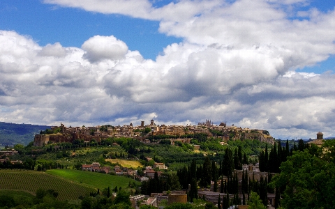 Foto Paesaggio albero orizzonte montagna