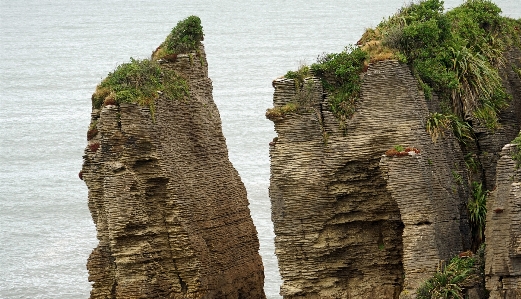 Foto Laut pesisir pohon rock