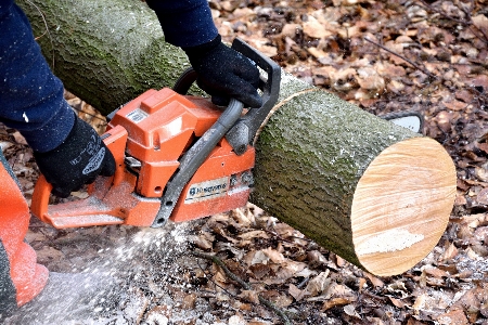 Tool soil lumber chainsaw Photo