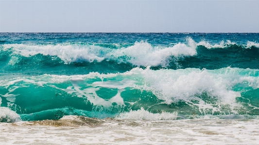 Beach sea coast water Photo