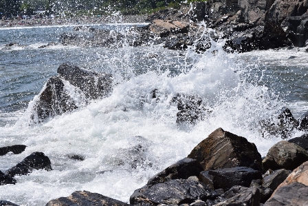 Beach sea coast water Photo