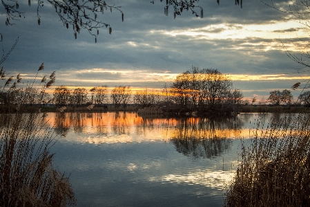 Foto Paisagem árvore água natureza