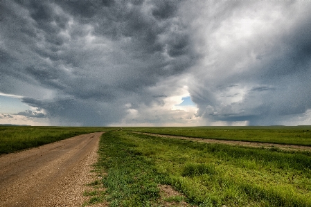 Landscape nature grass horizon Photo