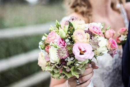 Flower arranging bouquet pink Photo