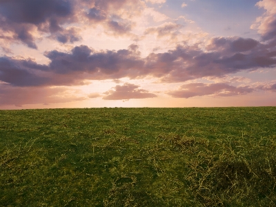 Foto Paisaje naturaleza césped horizonte