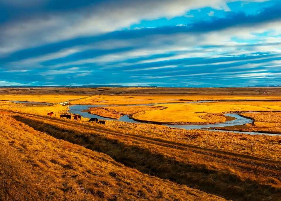 Paysage mer côte eau