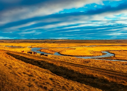 Landscape sea coast water Photo