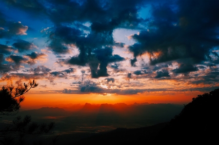 Nature forest horizon cloud Photo