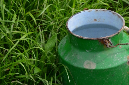 Work water grass white Photo