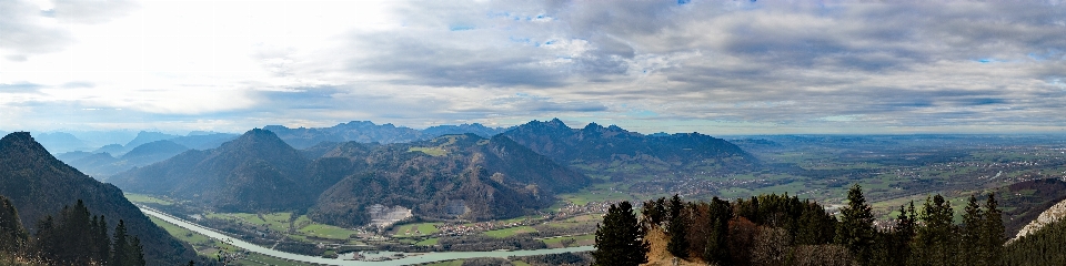 Paesaggio natura foresta selvaggia
