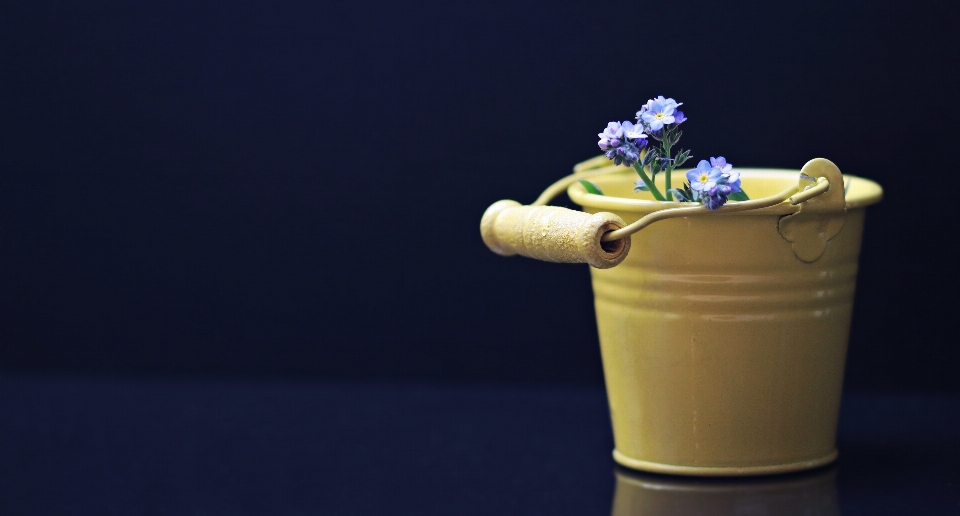 Fiore decorazione cibo primavera