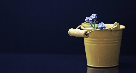 Foto Flor decoração comida primavera