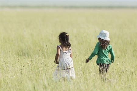 Grass field meadow prairie Photo